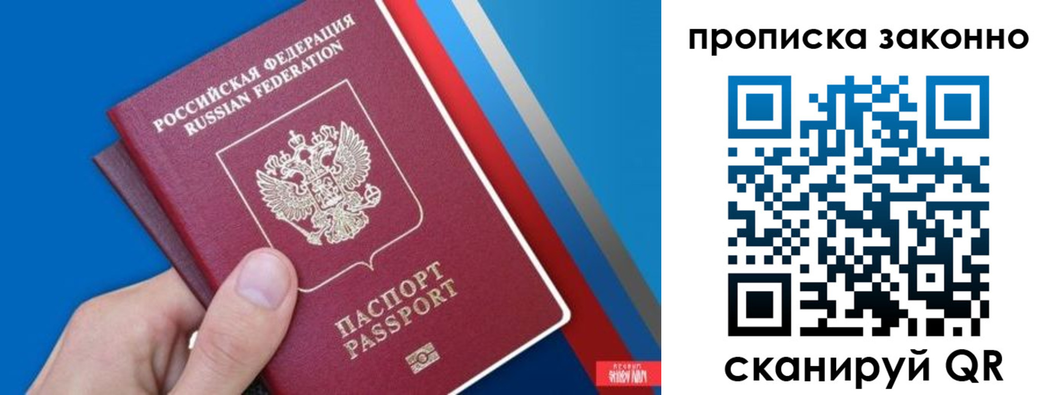 пропишу в квартире в Чистополье